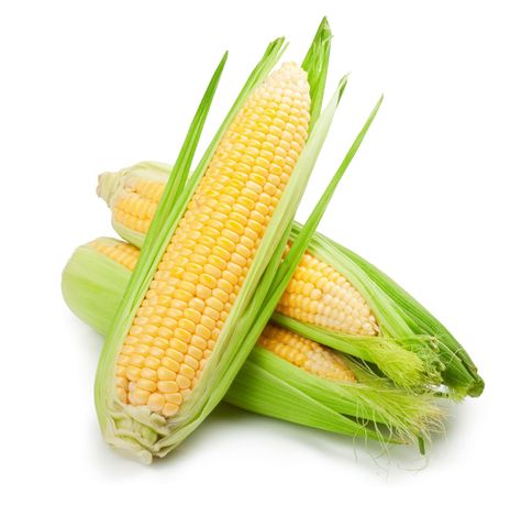 Corn Health Benefits, Corn Vegetable, Salad Box, Vegetables Photography, Vegetable Pictures, Gmo Foods, Food Wallpaper, Corn On The Cob, Fresh Corn