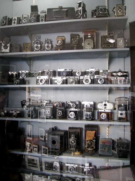 Shelves full of old cameras in a Ventura, California camera store (photo by Pat Caporali) Antique Camera Display, Photos For Vision Board, Fotocamere Vintage, Ventura California, Camera Aesthetic, Camera Store, Antique Cameras, Camera Photos, Old Cameras