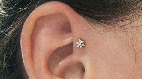 Piercings Corps, Piercing Combinations, Keith Thompson, Ear Piercing Combinations, Brian Keith, Double Cartilage Piercing, Multiple Ear Piercing, Forward Helix Piercing, Anti Tragus