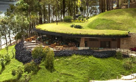 Green Roof House, Earth Sheltered Homes, Casa Hobbit, Grass Roof, Old Homes, Earthship Home, Earth Sheltered, Living Roofs, Underground Homes