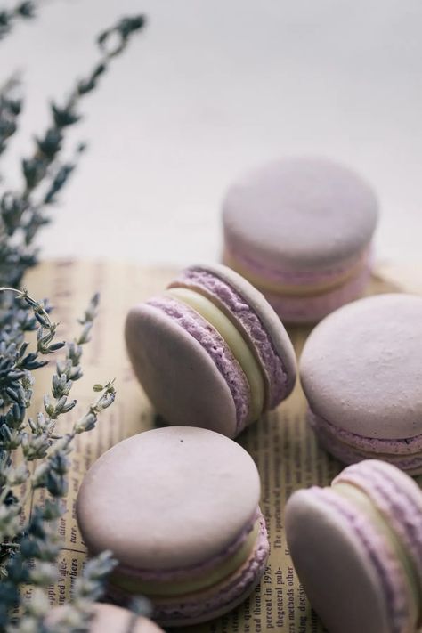 Lavender Macarons with Lavender White Chocolate Ganache. Dried Lavender Uses, Lavender Macaron, Lavender Macarons, Lavender Uses, Ganache Filling, Macaron Tower, Lavender Recipes, Parchment Paper Baking, White Chocolate Ganache