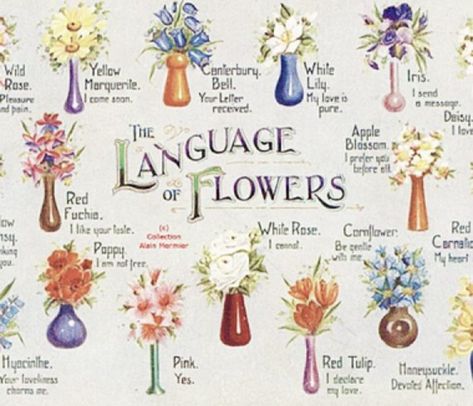 Flower Language, Wild Iris, The Language Of Flowers, Flower Meanings, Victorian Flowers, Language Of Flowers, Red Tulips, Cactus Y Suculentas, Nature Inspired Design