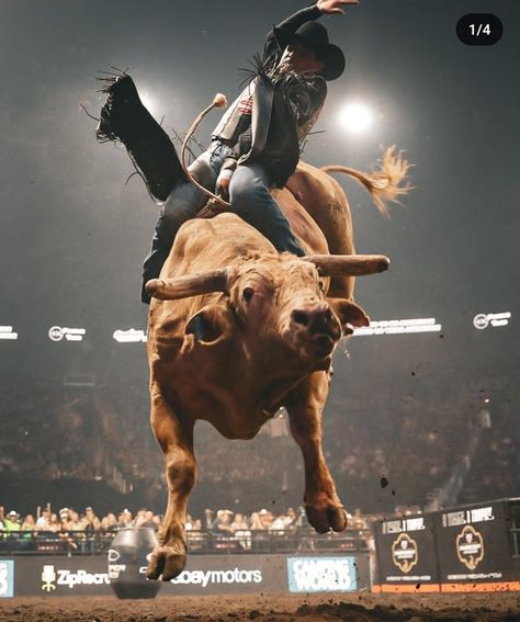 Pbr Bull Riders, Pbr Bull Riding, Your Vibe Attracts Your Tribe, Cowboy Photography, Bucking Bulls, Rodeo Time, Professional Bull Riders, Country Backgrounds, Western Photography