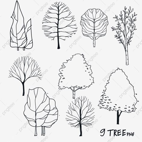 Architectural Trees, Arch Sketch, Trees Vector, Teenage Room Decor, Architecture Drawing Presentation, 심플한 그림, Architecture Drawing Sketchbooks, Landscape Architecture Drawing, Tree Plan