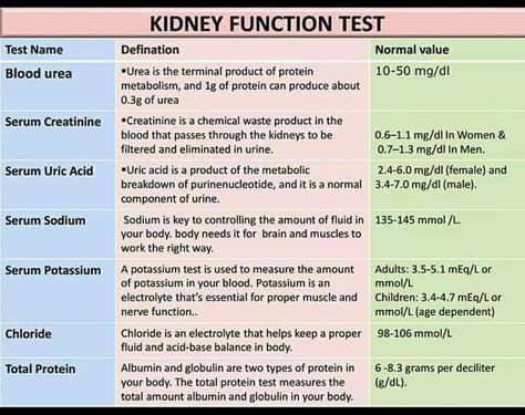 Test Notes, Kidney Function Test, Nursing Labs, Medical Laboratory Technician, Nursing Cheat, Nurse Study Notes, Kidney Function, Lab Values, Medical Laboratory Science