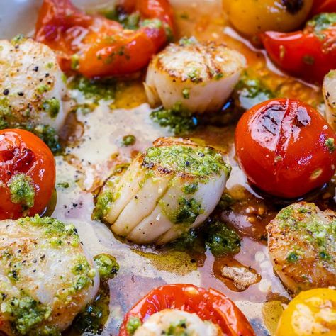 Seared Scallops with Homemade Pesto + Cherry Tomatoes | Clean Food Crush Bacon Scallops, Homemade Pesto Recipe, Scallop Pasta, Homemade Pesto Sauce, Dried Scallops, Seared Scallops, Sea Scallops, Scallop Recipes, Recipes Fish