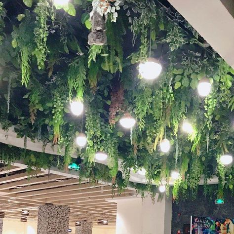 Artificial Plant Ceiling, Greenery On Ceiling Bedroom, Fake Plant Ceiling Decor, Hanging Plant Chandelier, Faux Flower Ceiling, Ceiling Plants Hanging, Greenery Hanging From Ceiling, Viridian Wedding, Plants Hanging From Ceiling