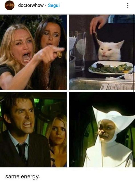 Doctor Who Funny, Doctor Who Memes, Doctor Who 10, David Tennant Doctor Who, Doctor Who Art, 10th Doctor, Rose Tyler, Tenth Doctor, Cat Meme