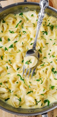 Delicious Tortellini smothered in a Creamy Asiago Cheese Garlic Sauce - easy, 30-minute pasta recipe! LOVED IT. Cheese Garlic Sauce, Garlic Tortellini, Asiago Cheese, Salad Pasta, Cheese Tortellini, Fettuccine Alfredo, Asiago, Garlic Sauce, Tortellini