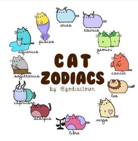 Zodiac Signs As Cats, Zodiac Drawings, Cat Zodiac, Pusheen Love, Zodiac Signs Animals, Zodiac Signs Pictures, Zodiac Animals, Pusheen Cute, Zodiac Sign Fashion