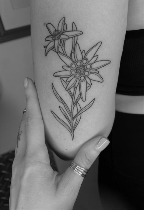 Sound Of Music Tattoo Ideas, The Sound Of Music Tattoo, Sound Of Music Tattoo, Edelweiss Tattoo, Grandma Tattoo, Stella Alpina, Sound Of Music Movie, Grandma Tattoos, Sage Design