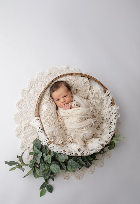 Sage Newborn Photography, Newborn Photography In Basket, Garden Newborn Photography, March Newborn Pictures, Newborn Basket Photography, Newborn In Basket Photography, Spring Newborn Pictures, Green Newborn Photography, Newborn Photography Basket