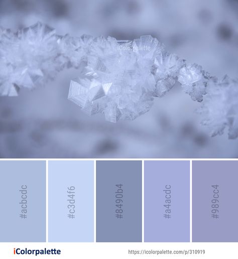 Color Palette ideas #icolorpalette #colors #inspiration #graphics #design #inspiration #beautiful #colorpalette #palettes #idea #color #colorful #colorscheme #colorinspiration #colorcombinations #colorcombos Winter Color Palette With Hex Codes, Frost Color Palette, Winter Wonderland Color Scheme, Snowy Color Palette, Icy Blue Color Palette, Icy Color Palette, Winter Wonderland Color Palette, Snow Color Palette, Ice Color Palette