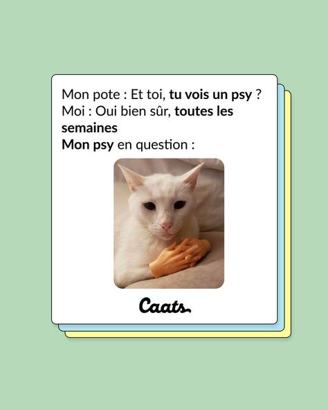 Meme chat, tweet chat, chat drôle, chat faim, cat, funny cat, chat, chaton, Conseils, adopter un chat, chat bêtise, comportement du chat, comprendre son chat, conseils, chat article, erreurs à ne pas faire, avoir un chat, alimentation du chat, croquettes chat, pâtée pour chat, conseils, chat article, erreurs à ne pas faire, avoir un chat, femme et chat, cat mom, vidéo drôle, la vie de nos chats, être un chat, imitation de nos chats, santé chat Meme Chat, Cat Funny, Croquettes, Funny Cat, Cat Mom, Top 10, Memes, Funny