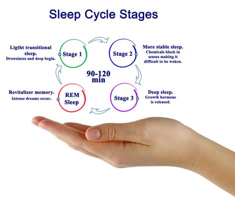 Rapid Eye Movement, Eye Movement, Stages Of Sleep, Portfolio Template Design, Rem Sleep, Behavior Disorder, Healthy Lifestyles, Medical Terms, Sleep Cycle