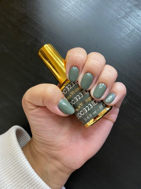 Green Nail Gel Polish, Dnd 747 Aurora Green, Dnd 323 Vintage, Dnd Nail Colors Green, Dnd Sage Green Nails, Dnd Vintage Gel Polish, Fall Nail Colors Dnd Gel Polish, Dc Nail Polish Colors Fall, Dnd Olive Garden