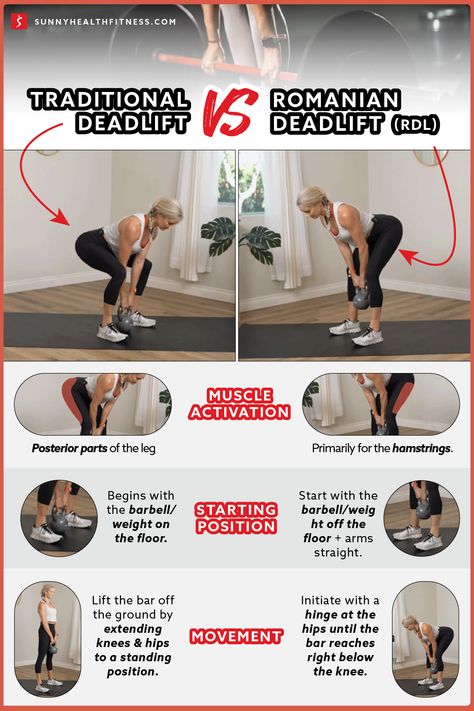 Deadlift Day Workout, Rdl Exercise Vs Deadlift, Barbell Romanian Deadlift, Deadlift Women Dumbell, Deadlift Vs Romanian Deadlift, Kettlebell Deadlift Women, Rdl Vs Deadlift, Roman Deadlift Women, Rdl Alternative