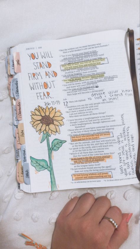 Job 9 Bible Journaling, Book Of Job Bible Journaling, Book Of Job Bible Study, Book Of Job Quotes, She Reads Truth Bible Journaling, Job Bible Journaling, Job In The Bible, Job Bible Study, Bible Recap