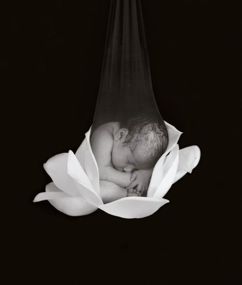 Florals — Anne Geddes Sea Sign, Babies Photography, Anne Geddes, Artist Models, Classic Image, Wild Woman, Floral Artwork, Anatomy Reference, Girly Art