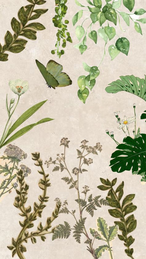 Plant Poster Prints, Plant Aesthetic Poster, Plant Collage Wallpaper, Vintage Plant Aesthetic Wallpaper, Botanical Aesthetic Wallpaper, Botany Aesthetic, Collage Plants, Plants Collage, Plant Collage