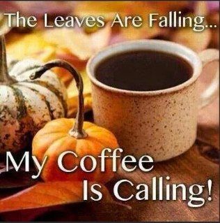 I Love Coffe, Saturday Coffee, Coffee Quotes Morning, Coffee Facts, Coffee Barista, Local Coffee Shop, Good Morning Coffee, Autumn Coffee, Buy Coffee