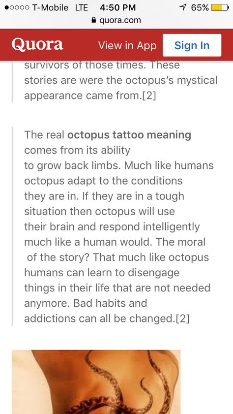 Meaning Of Octopus Tattoo, Octopus Tattoos Meaning, Octopus Tattoo Meaning, Punctuation Tattoo Meaning, Mermaid Octopus Tattoo, Octopus Symbolism, Octopus Meaning, Wanderer Tattoo, Octopus Thigh Tattoos