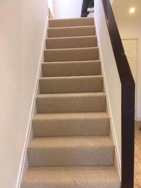 Contemporary look wool mix loop Carpet, perfect for Stairs. Wool Loop Carpet, Carpet On Stairs, Stairway Carpet, Loop Carpet, Kitchen Carpet Runner, Hall Carpet, Cheap Carpet Runners, Carpet Sale, Best Carpet