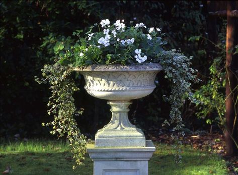 Formal Garden Design, Stone Planter, Garden Site, Garden Urns, Urn Planters, Formal Garden, Stone Planters, We're Open, Stone Garden