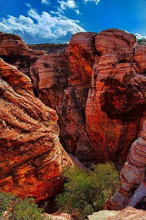 Red Rock Canyon. National park 30 minutes west of the strip. There's a scenic drive (1 hour or so) that takes you around the canyon for some great views of the rock formations. Lots of stops where you can hike deeper into the national park. Gods Artwork, Red Rock Canyon Las Vegas, Waterfall Photos, Western Travel, Destination Unknown, Red Rock Canyon, Nevada Travel, Lincoln County, Vegas Vacation