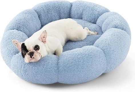 Amazon.com : Lesure Calming Small Dog Bed - Flower Donut Round Fluffy Puppy Bed in Plush Teddy Sherpa, Non-Slip Cute Flower Cat Beds for Indoor Cats, Small Pet Bed Fits up to 25 lbs, Machine Washable, Grey 23" : Pet Supplies Flower Donut, Heated Cat Bed, Cute Dog Beds, Puppy Bed, Fluffy Puppy, Small Pet Bed, Round Dog Bed, Medium Dog Bed, Dog Couch