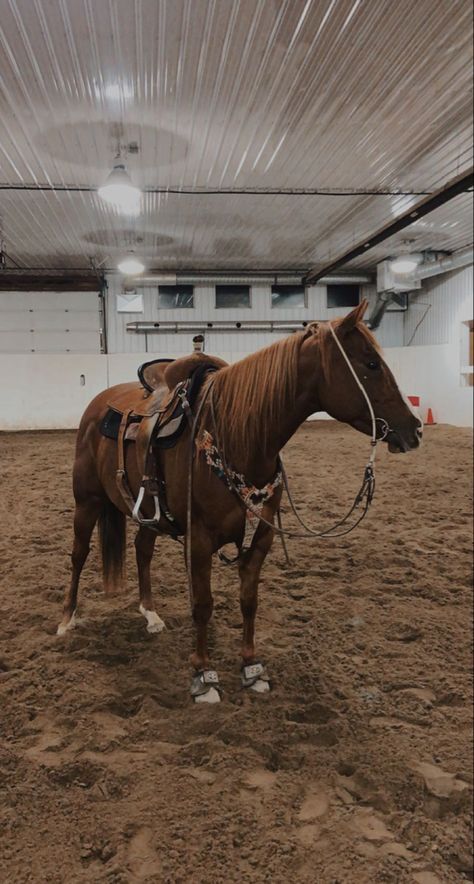 Horse Training Aesthetic, Tack Room Western, Fake Horse Snaps, Rodeo Lifestyle, Room Western, Training Aesthetic, Aesthetic Horse, Western Horse Riding, Horse Tack Rooms