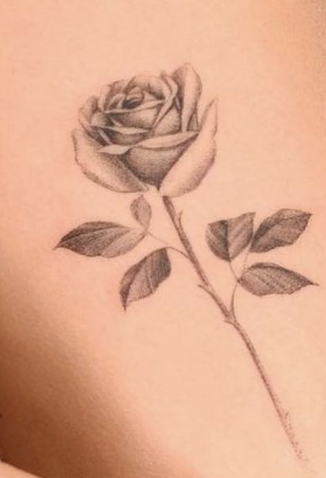 Big Rose Tattoo, Flower Collar Bone Tattoo, Rose Tat, Line Art Tattoos, Art Tattoos, Rose Tattoo, Yellow Roses, Yellow Rose, Tattoo Design