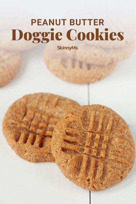 Your Pup’s New Favorite Snack: Peanut Butter Dog Treats with Coconut Flour Dog Friendly Peanut Butter Cookies, Dog Desserts, Doggie Cookies, Penuche Fudge, Pup Treats, Dog Cookie Recipes, Animal Treats, Pet Treats Recipes, Doggy Treats