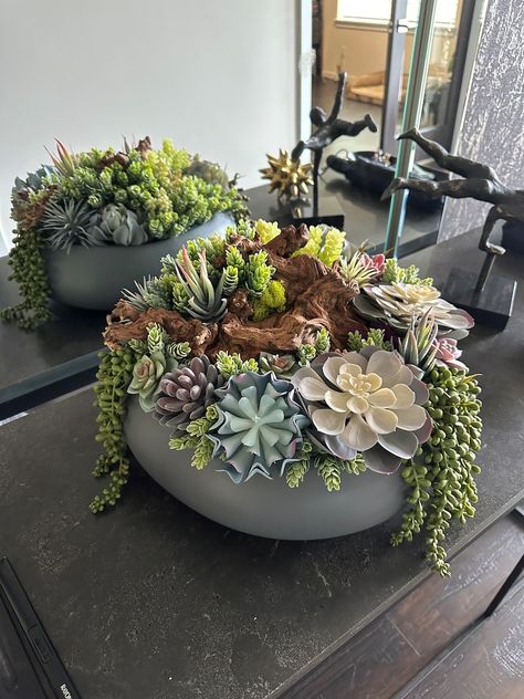 Succulent Design on Gray Circular Ceramic Vase - Etsy Deck Plants, Succulents Arrangements, Succulent Design, Succulent Bowls, Succulent Garden Design, Succulent Garden Diy, Menstrual Health, Garden Life, Succulent Gardening