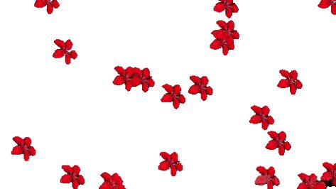 Red Carrd Backgrounds Gif, Red Pixel Gif, Red Header Gif, 2000s Gif, Long Gif, Star Gif, Birthday Wishes Flowers, Animated Videos, Icon Gif