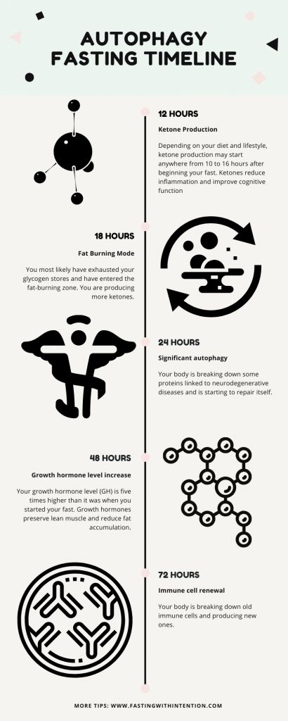 autophagy timeline 24 Hour Fast, Healing Waters, Improve Cognitive Function, Fast Results, Fasting Diet, Hormone Levels, Growth Hormone, Immune Health, Intermittent Fasting