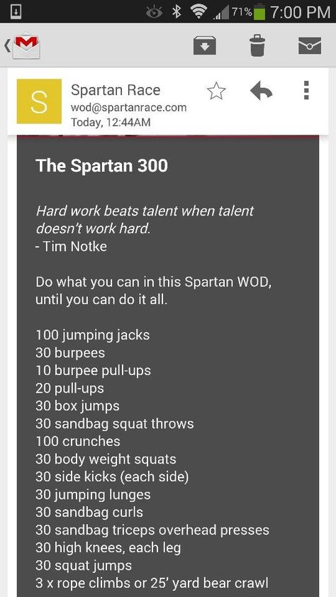 Spartan Race Training Workouts, Spartan 300 Workout, Spartan Challenge, Obstacle Race Training, Spartan 300, Tough Mudder Training, Spartan Workout, Spartan Race Training, 300 Workout