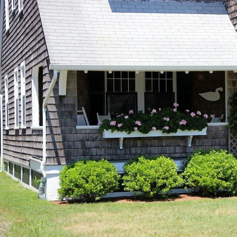 Salt Water New England Jack Donnelly, Salt Water New England, New England Aesthetic, Muddy Dog, American Classic, Nantucket, The Thing, Geraniums, New England