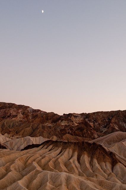 Brown Aesthetic, In The Desert, Sand Dunes, Nature Aesthetic, Pretty Places, Browning, Aesthetic Backgrounds, Travel Aesthetic, The Desert