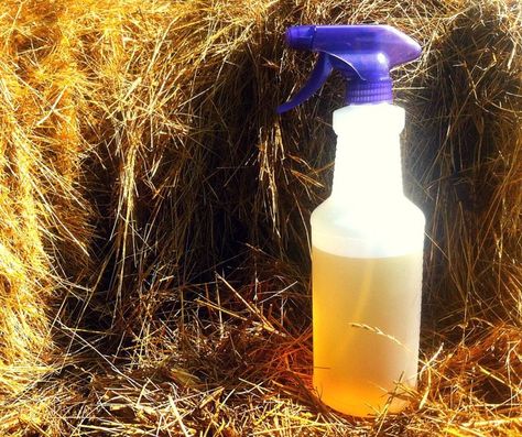 Want a natural alternative to chemical-filled bug sprays? Here's a recipe for natural fly repellent you can make in your own kitchen - today. #chickens #backyardchickens #homesteading #country #pets #birds #summer #summerstyle Natural Fly Repellent Outdoors, Diy Flies Repellent, Fly Repellant Diy, Fly Deterrent, Homemade Fly Spray, Natural Fly Repellant, Wasp Spray, Get Rid Of Wasps, Deer Fly