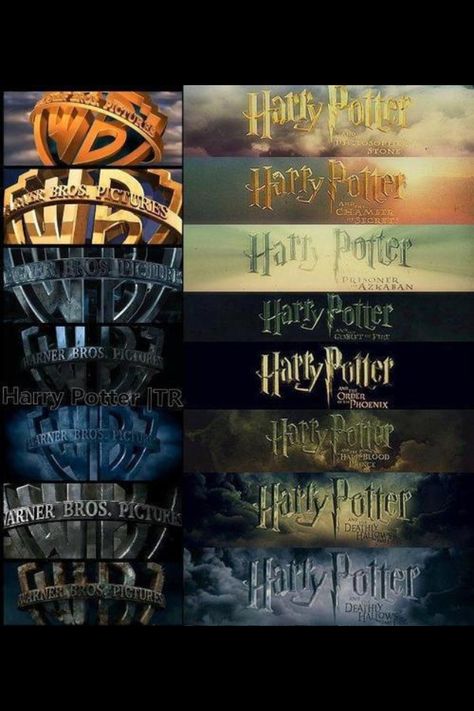 Warner Bros and Harry Potter Harry Potter Stone, Scorpius And Rose, Harry Otter, Harry Potter Logo, About Harry Potter, Yer A Wizard Harry, Albus Dumbledore, Harry Potter Books, Harry Potter Obsession