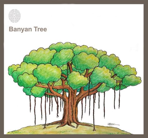 In this video I show you how to draw easy different a Banyan tree / banian tree drawing. In this technique is easy to make drawing for you. Hope you like it. Narra Tree Philippines Drawing, National Symbols Of India Drawing, Banyan Tree Drawing, Easy Tree Drawing, Symbols Drawing, Tree Drawing For Kids, Draw Trees, Family Tree For Kids, Tree Drawing Simple