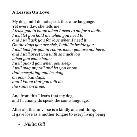 Nikita Gill on Instagram: "A dog poem where the last lines still make me cry! Sharing this poem by request ❤️ Thank you so much for sharing this piece so much over…" Trust Poems, Dog Poetry, Dog Poems, Nikita Gill, Sick Dog, When You Sleep, I Trusted You, Don't Speak, Dog Quotes