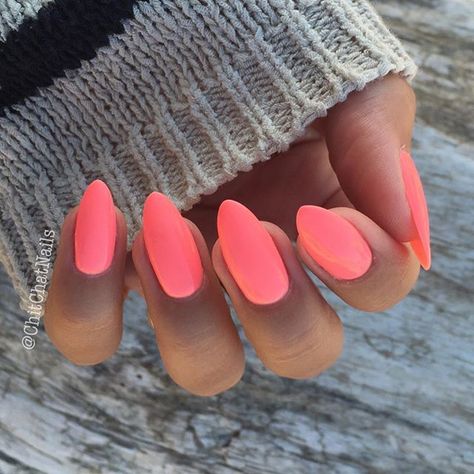 Nails Unghie Sfumate, Nagellack Trends, Tropical Nails, Bright Summer Nails, Super Nails, Vacation Nails, Pink Doll, Trendy Nail Design, Summer Nails Colors