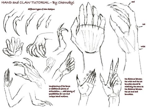 .: Hand+Claw Tutorial :. by Chernobylpets Claws Drawing Reference, Claw Tutorial, Claws Drawing, Monster Claws, Opal Nails, Draw Hands, Hand Drawing Reference, Body Reference Drawing, Hand Reference