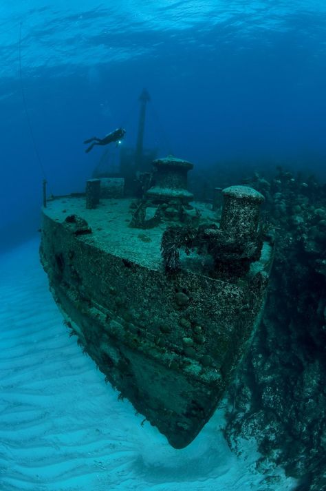 Tragically Beautiful, Sunken Ship, Fauna Marina, Under The Water, Abandoned Ships, Ghost Ship, Thunder Bay, World Images, Haunted Places