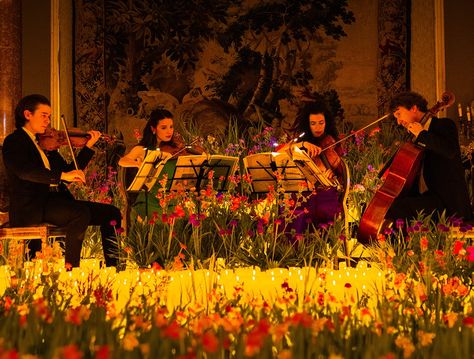 Here Is An Inside Look At The Upcoming Candlelight Spring Concerts Candlelight Concert, Gerard Manley Hopkins, Orchestra Concerts, Weekend In Nyc, Smelling Flowers, Floral Installations, Lake Union, Under The Rain, Fantasy Concept