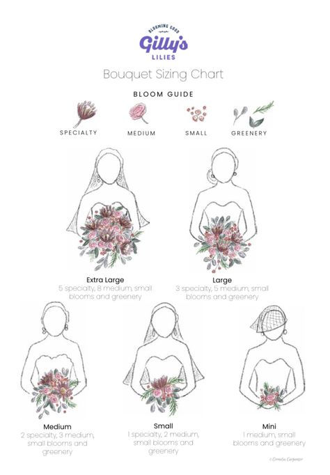 Illustrated watercolor bouquet size chart. By Cornelia Carpenter for Gilly’s Lilies. Wedding Bouquets Fresh Flowers, Colorful Wedding Flower Bouquets, Basic Flower Bouquet, Different Styles Of Bridal Bouquets, Bridal Bouquet Sizes, Bridal Bouquet Shapes Guide, Bridesmaid Bouquet Size Chart, Elegant Wedding Bouquet Ideas, Wedding Bouquet Sizes Chart