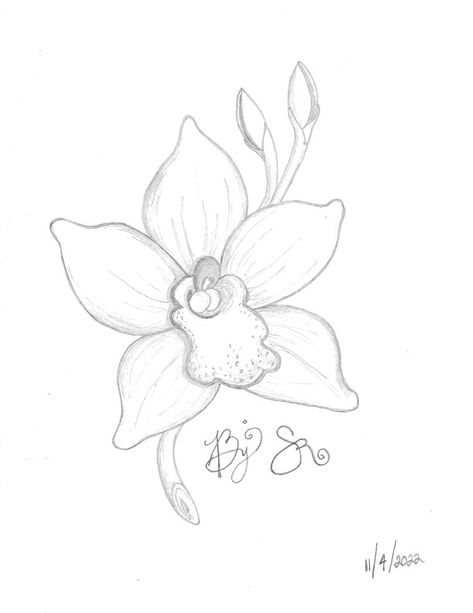 Just a sketch of my favorite flowers. 💖 Orchid Sketch, Orchid Drawing, Flower Sketches, Pola Sulam, Favorite Flowers, Orchid Flower, Lotus Flower Tattoo, Flower Drawing, Flower Tattoo