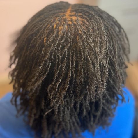 Ready for the weekend! 😍😍 Fresh Retie 🦋🦋 #sisterlocks #locs4life #locs #locjourney #microlocs #microlocsjourne #sisterlocs #tinylocs #locnation #tinylocks #4clocs #locd #curly hair #locdladies #locstyles #explorepage #locstylesforwomen #microlocs #microlocupdo #microlocstyles #locjourney #microlocmaintenance #locmaintenance #locideas Loc Updo, Locs Journey, Micro Locs, Sister Locs, March 30, Sisterlocks, Loc Styles, 4 Life, Locs